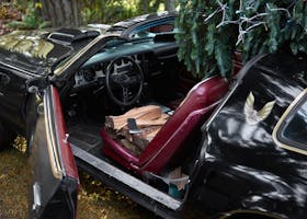 Explore the classic interior of a vintage car adorned with a fir tree and loaded with firewood.